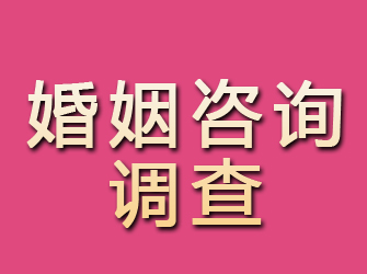 大冶婚姻咨询调查